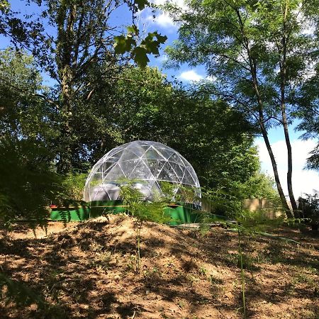 Bulle Etoilee En Nature Landaise Saint-Sever  Bagian luar foto
