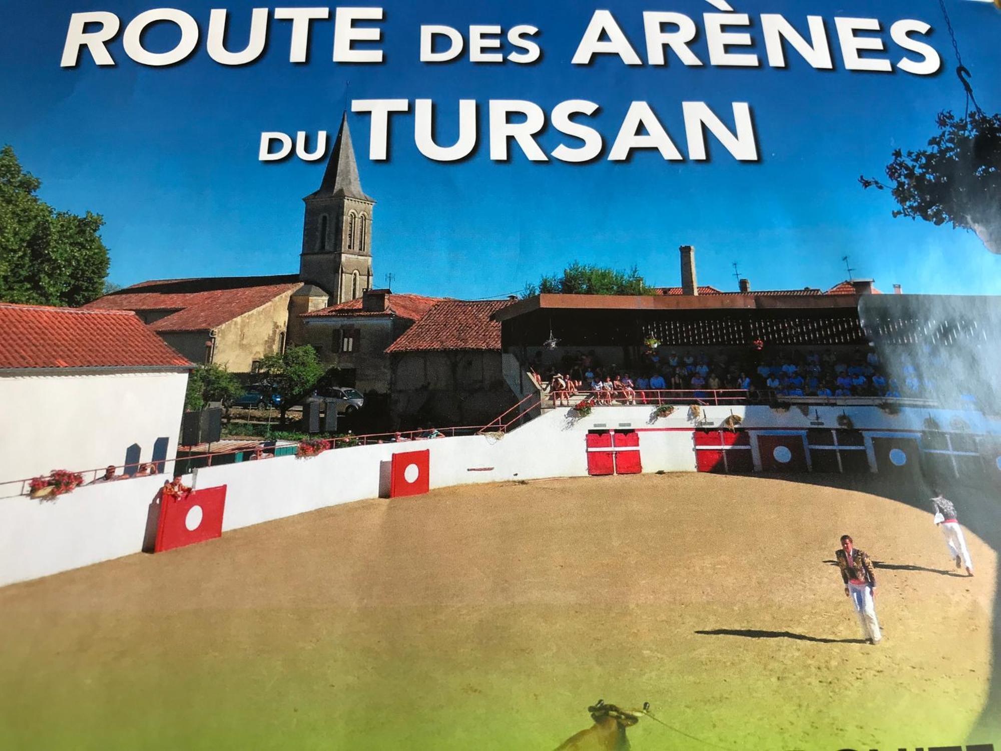 Bulle Etoilee En Nature Landaise Saint-Sever  Bagian luar foto